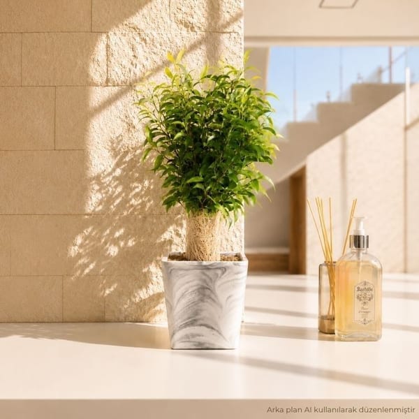 Benji Geo — görsel 3